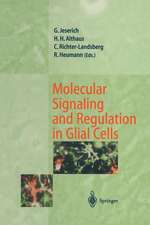 Molecular Signaling and Regulation in Glial Cells: A Key to Remyelination and Functional Repair