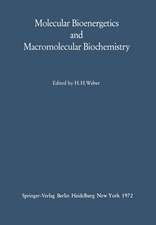 Molecular Bioenergetics and Macromolecular Biochemistry: Meyerhof-Symposium Heidelberg, July 5–8, 1970