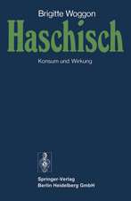 Haschisch: Konsum und Wirkung