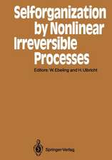 Selforganization by Nonlinear Irreversible Processes: Proceedings of the Third International Conference Kühlungsborn, GDR, March 18–22, 1985