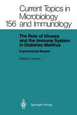 The Role of Viruses and the Immune System in Diabetes Mellitus