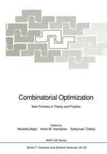 Combinatorial Optimization: New Frontiers in Theory and Practice