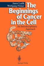 The Beginnings of Cancer in the Cell: An Interdisciplinary Approach