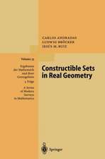 Constructible Sets in Real Geometry