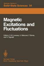 Magnetic Excitations and Fluctuations: Proceedings of an International Workshop, San Miniato, Italy, May 28 – June 1, 1984