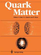 Quark Matter: Proceedings of the Sixth International Conference on Ultra-Relativistic Nucleus-Nucleus Collisions — Quark Matter 1987 Nordkirchen, FRG, 24–28 August 1987