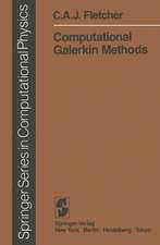 Computational Galerkin Methods