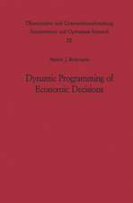 Dynamic Programming of Economic Decisions