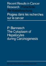 The Cytoplasm of Hepatocytes during Carcinogenesis: Electron- and Lightmicroscopical Investigations of the Nitrosomorpholine-intoxicated Rat Liver