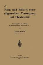 Form und Endziel einer allgemeinen Versorgung mit Elektrizität: Herausgegeben im Auftrage des Beratungsvereins „Elektrizität“ e. V.