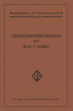 Großgasversorgung: Technik und Wirtschaft der Fernleitung der Gase unter hohem Druck als Grundlage für eine Großgasverwertung der Kohlenenergie in Deutschland mit zentraler Gaserzeugung in den Steinkohlen- und Braunkohlen-Revieren