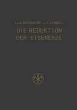 Die Reduktion der Eisenerze: Wissenschaftliche Grundlagen und technische Durchführung