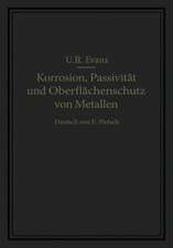 Korrosion, Passivität und Oberflächenschutz von Metallen