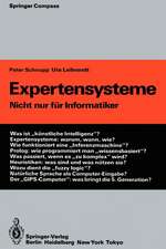 Expertensysteme: Nicht nur für Informatiker