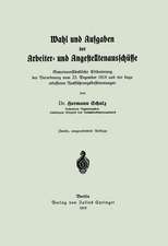 Wahl und Aufgaben der Arbeiter- und Angestelltenausschüsse: Gemeinverständliche Erläuterung der Verordnung vom 23. Dezember 1918 und der dazu erlassenen Ausführungsbestimmungen