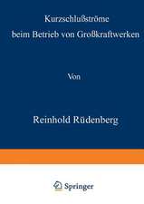 Kurzschlußströme beim Betrieb von Großkraftwerken