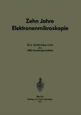 Zehn Jahre Elektronenmikroskopie: Ein Selbstbericht des AEG-Forschungs-Instituts