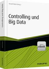 Controlling und Big Data