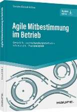 Agile Mitbestimmung im Betrieb - inkl. Arbeitshilfen online