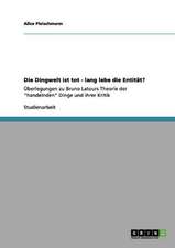 Die Dingwelt ist tot - lang lebe die Entität?