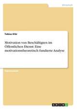 Motivation von Beschäftigten im Öffentlichen Dienst: Eine motivationstheoretisch fundierte Analyse