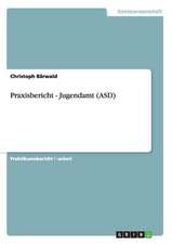 Praxisbericht - Jugendamt (ASD)