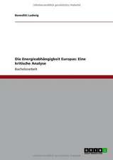 Die Energieabhängigkeit Europas: Eine kritische Analyse