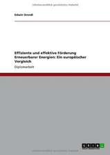 Effiziente und effektive Förderung Erneuerbarer Energien: Ein europäischer Vergleich