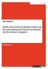 Macht und Gewalt bei Hannah Arendt und die Anwendung ihrer Theorie am Beispiel der Revolution in Ägypten