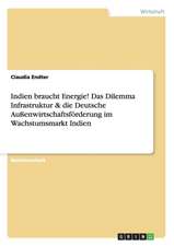 Indien braucht Energie! Das Dilemma Infrastruktur & die Deutsche Außenwirtschaftsförderung im Wachstumsmarkt Indien