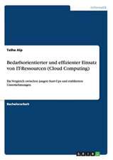 Bedarfsorientierter und effizienter Einsatz von IT-Ressourcen (Cloud Computing)