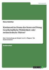 Kindsmord im Drama des Sturm und Drang: Gesellschaftliche Wirklichkeit oder melancholische Fiktion?