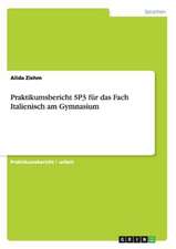 Praktikumsbericht SP3 für das Fach Italienisch am Gymnasium