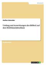 Umfang und Auswirkungen des BilMoG auf den HGB-Einzelabschluss