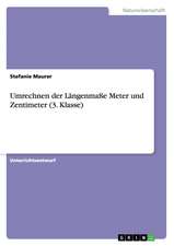 Umrechnen der Längenmaße Meter und Zentimeter (3. Klasse)