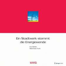 Ein Stadtwerk stemmt die Energiewende: Standortbestimmung, Strategieentwicklung und Umsetzung