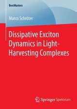 Dissipative Exciton Dynamics in Light-Harvesting Complexes