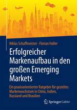 Erfolgreicher Markenaufbau in den großen Emerging Markets: Ein praxisorientierter Ratgeber für gezieltes Markenwachstum in China, Indien, Russland und Brasilien