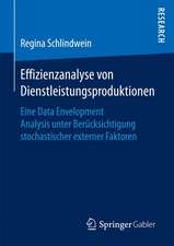 Effizienzanalyse von Dienstleistungsproduktionen: Eine Data Envelopment Analysis unter Berücksichtigung stochastischer externer Faktoren