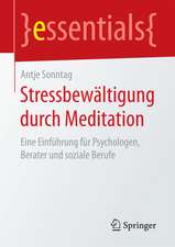 Stressbewältigung durch Meditation: Eine Einführung für Psychologen, Berater und soziale Berufe