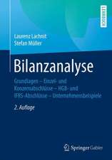 Bilanzanalyse: Grundlagen – Einzel- und Konzernabschlüsse – HGB- und IFRS-Abschlüsse – Unternehmensbeispiele