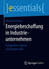 Energiebeschaffung in Industrieunternehmen: Erfolgreiches Agieren am Energiemarkt