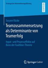 Teamzusammensetzung als Determinante von Teamerfolg: Input- und Prozesseffekte auf Basis der Faultline-Theorie