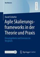 Agile Skalierungsframeworks in der Theorie und Praxis: Einsatzgebiete und Grenzen im Vergleich