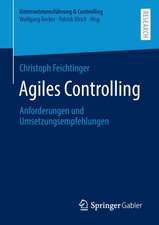 Agiles Controlling: Anforderungen und Umsetzungsempfehlungen