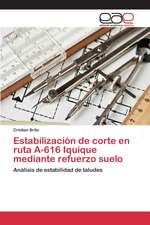 Estabilizacion de Corte En Ruta A-616 Iquique Mediante Refuerzo Suelo