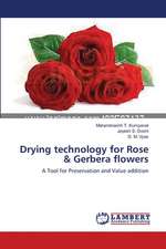 Drying technology for Rose & Gerbera flowers