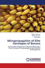 Micropropagation of Elite Genotypes of Banana