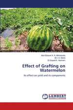 Effect of Grafting on Watermelon