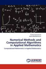 Numerical Methods and Computational Algorithms in Applied Mathematics